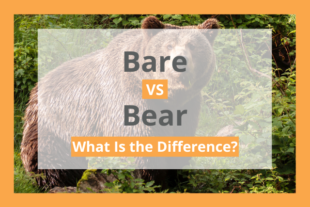 Bare vs. Bear, Things to Bear in Mind