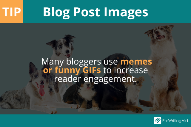 blog images tip