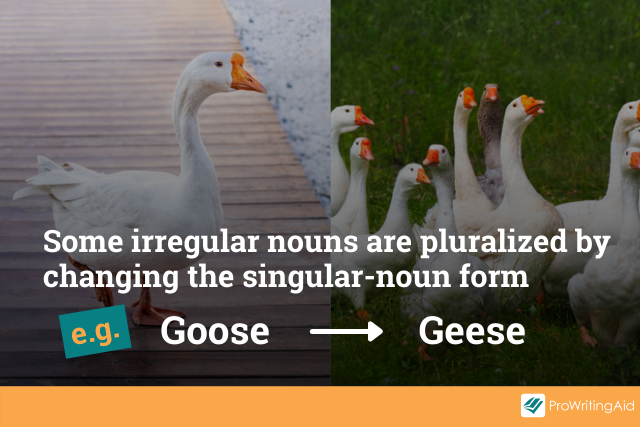 example: goose becomes geese