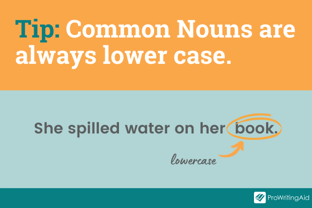 Image showing that common nouns are lowercase