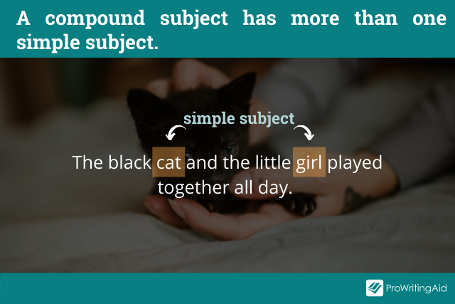 simple-subject-what-is-it-with-examples