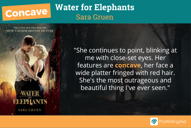 Concave in water for elephants