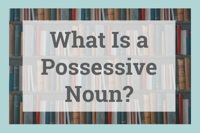 What Is a Possessive Noun? How to Use Possessive Nouns in Your Writing (with Examples)