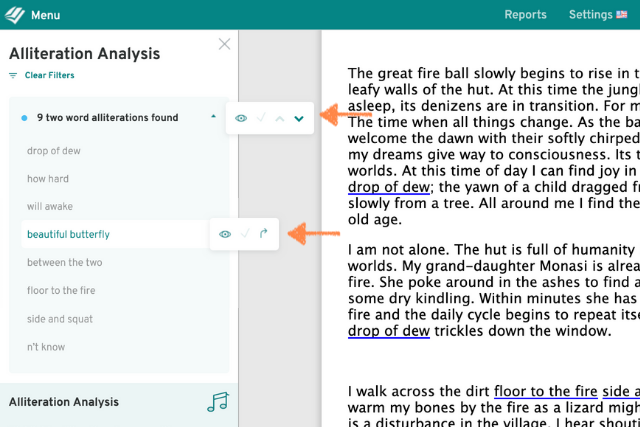 screenshot of the alliteration report menu