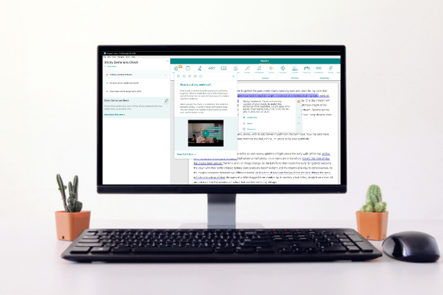 prowritingaid desktop app on a pc monitor