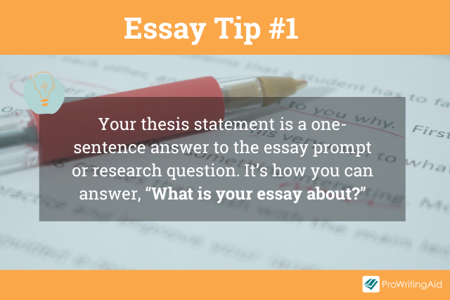 essay writing tip