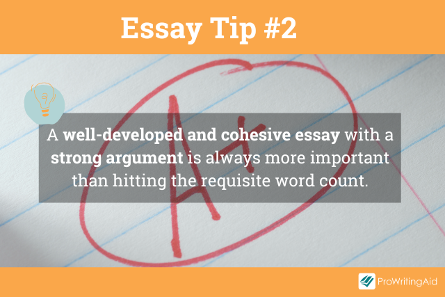 Essay writing tip