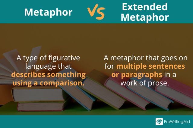 What Is An Extended Metaphors