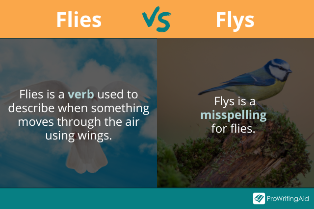 flies vs flys