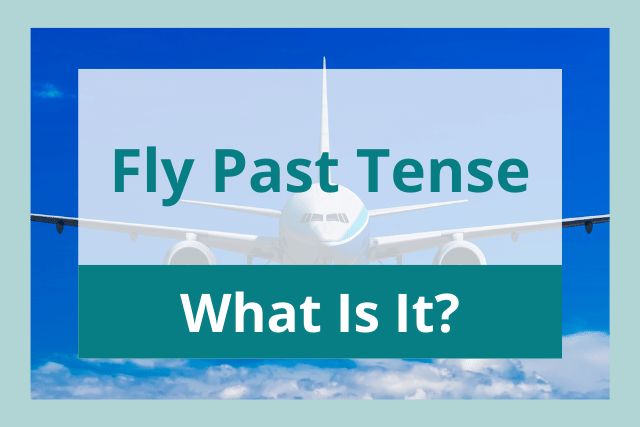 Fly Past Tense What Is It 