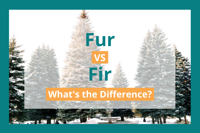 fir vs fur vs for