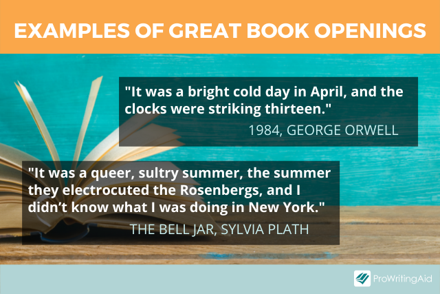 Examples of great book openings