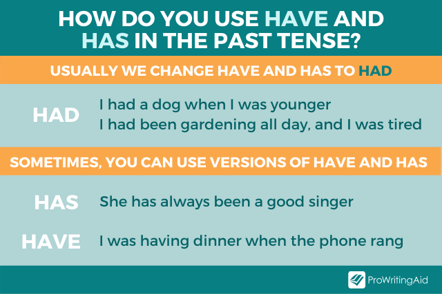 Have vs Has: What's the Difference? - The Grammar Guide