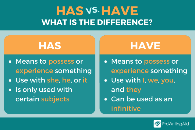 have vs. has main differences