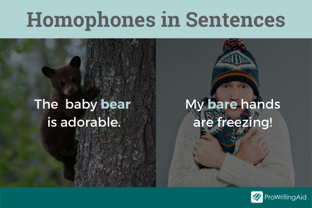 Example of homophones used in a sentence