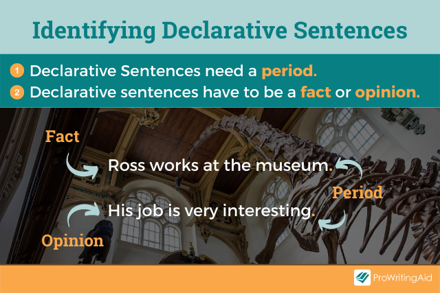 Declarative Sentence: Examples + Meaning