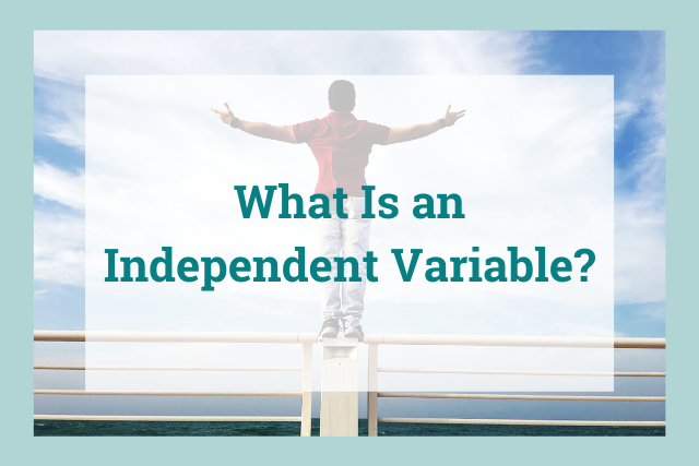 What Is an Independent Variable?