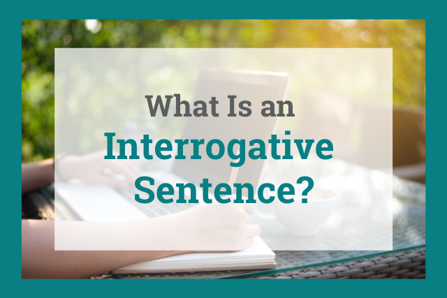 Interrogative Sentence Example For Class 3