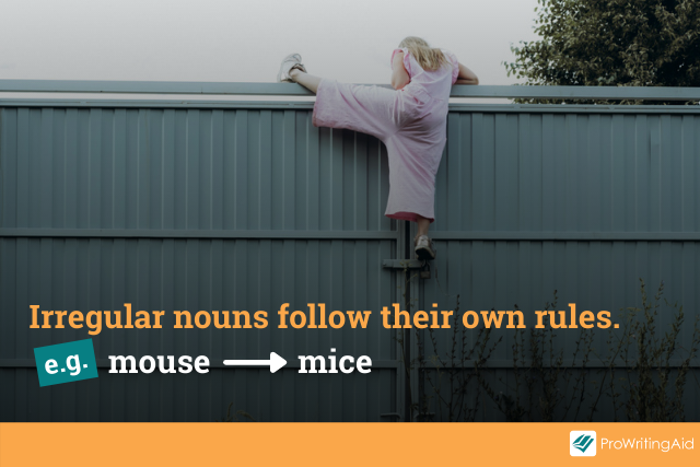 pluralizing irregular nouns: no rules