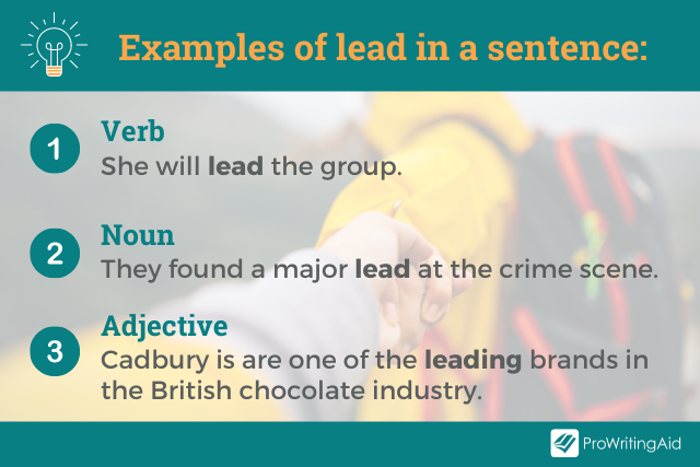 how to write a lead in sentence for an essay