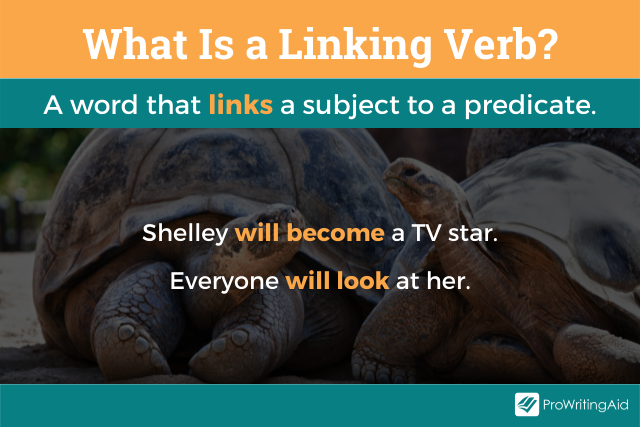 Image showing what is a linking verb