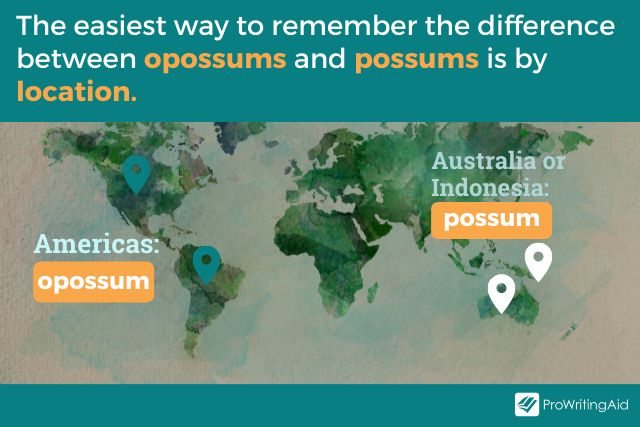 Image showing the locations for possum and opossums