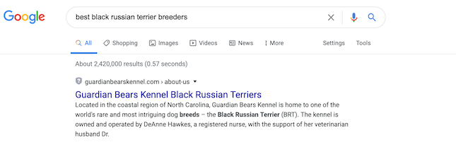 snippet showing in search results