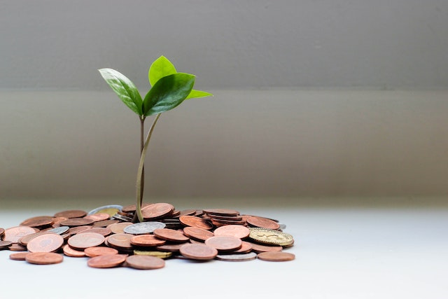 shoot grows out of coins