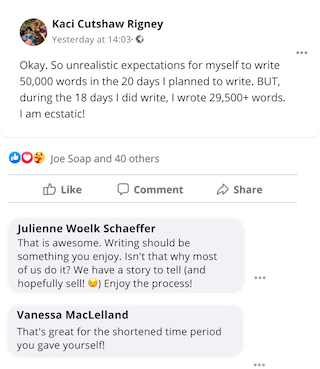 post about nanowrimo in PWA facebook group