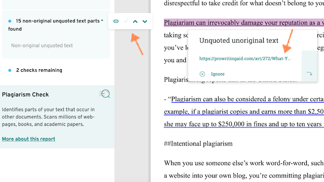 example of a plagiarism suggestion message