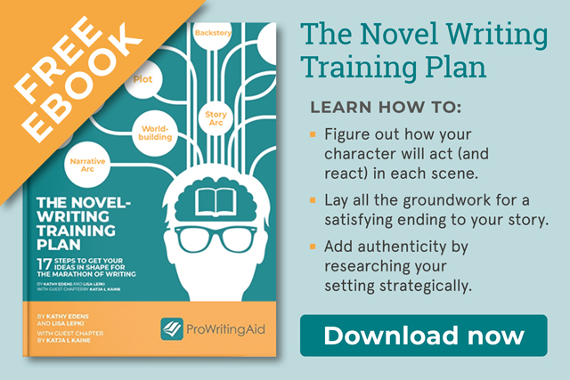 the novel writing training plan ebook