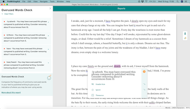 screenshot of prowritingaid's overused words report