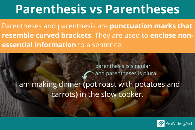 parenthesis vs parentheses definition