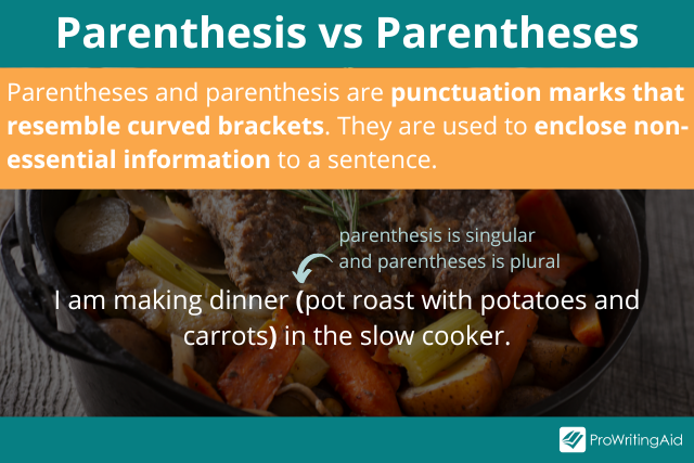 Parentheses Definition Literary