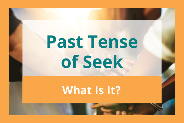 Past tense of seek title cover