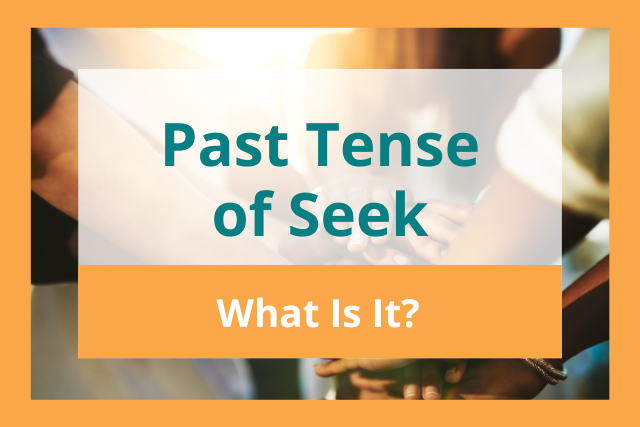 irregular past tense of seek