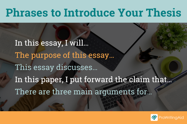 introduction thesis phrases