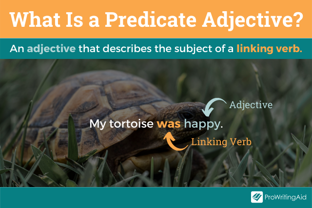 Image showing what is a predicate adjective