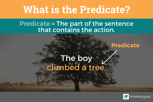 Definition of the predicate