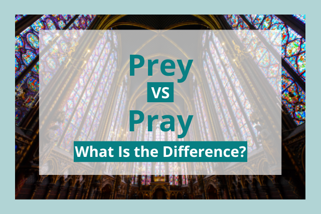 Definition & Meaning of Prey