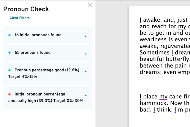 screenshot of prowritingaid pronoun check menu