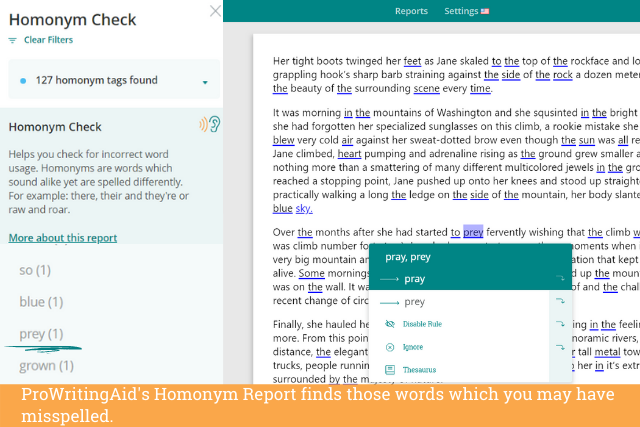 Screenshot of ProWritingAid's homonym report