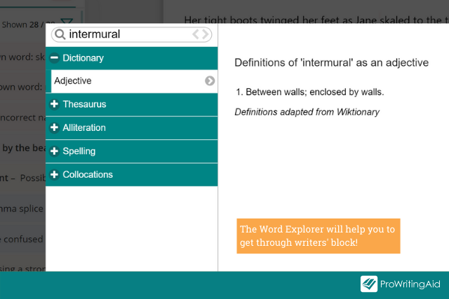 Screenshot of ProWritingAid's Word Explorer