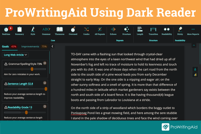 Image showing ProWritingAid used with Dark Reader