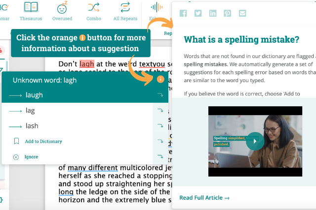 Screenshot of ProWritingAid app