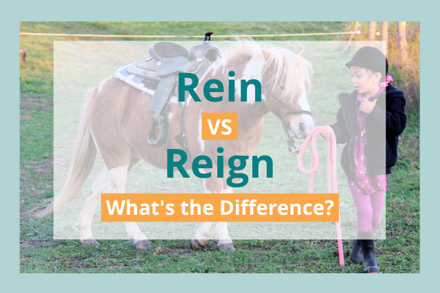 rein vs reign