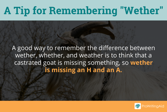 How to remember wether