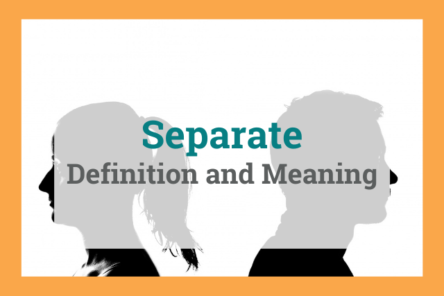 Separate Meaning Article 