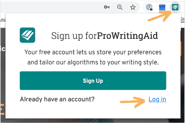 sign-in window in the browser extension