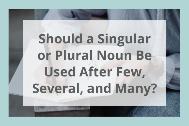 singular or plural noun